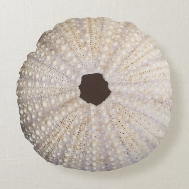 Sea Urchin Cotton Throw Pillow (Front)