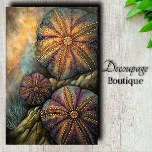 Sea Urchin Decoupage  Tissue Paper