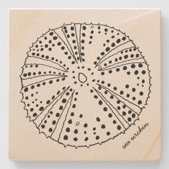 Sea Urchin Drawing Tropical Stone Coaster Zazzle Com Au