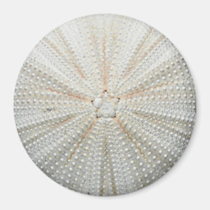 Sea Urchin Fridge Magnet - Round