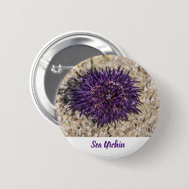 Sea Urchin Ocean Beach Holiday Summer Souvenir 6 Cm Round Badge (Front & Back)