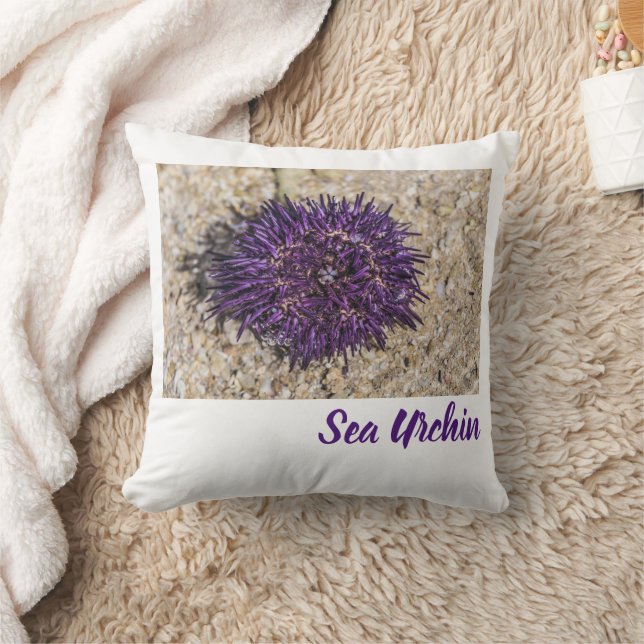 Sea Urchin Ocean Beach Holiday Summer Souvenir Cushion (Blanket)