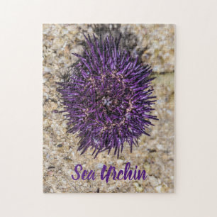 Sea Urchin Ocean Beach Holiday Summer Souvenir Jigsaw Puzzle