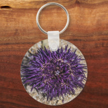 Sea Urchin Ocean Beach Holiday Summer Souvenir