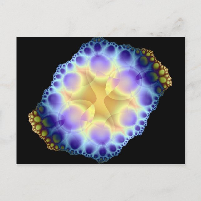 sea urchin postcard (Front)