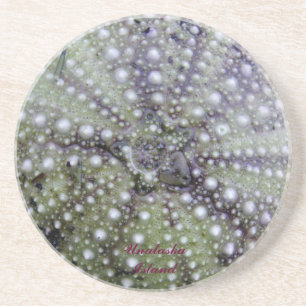Sea Urchin Seashell Coaster