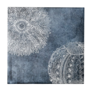 Sea Urchin Watercolor Ocean Navy Blue White Ceramic Tile