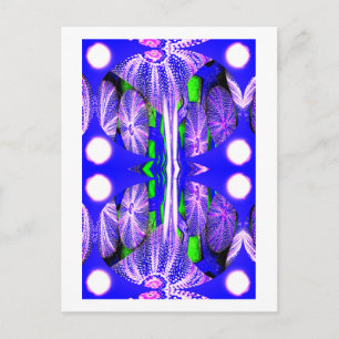 Sea urchins in moonlight art postcard