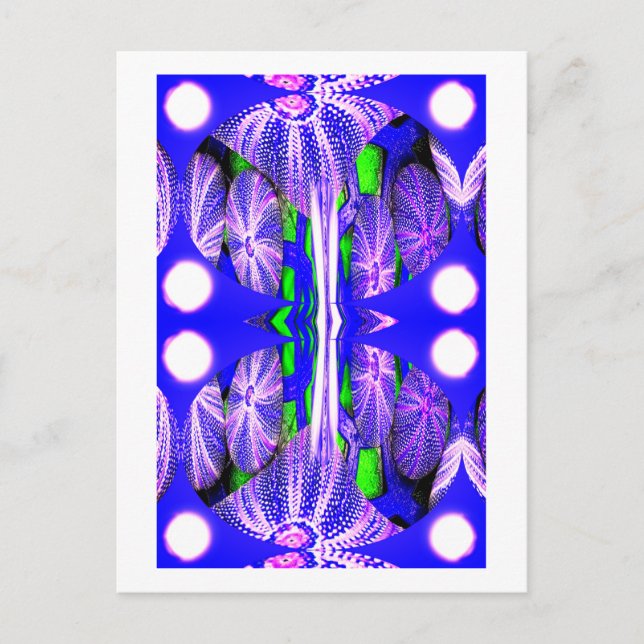 Sea urchins in moonlight art postcard (Front)