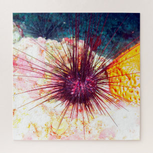 Sea Urchins Jigsaw Puzzle
