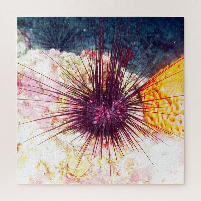 Sea Urchins Jigsaw Puzzle (Vertical)