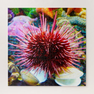 Sea Urchins Jigsaw Puzzle