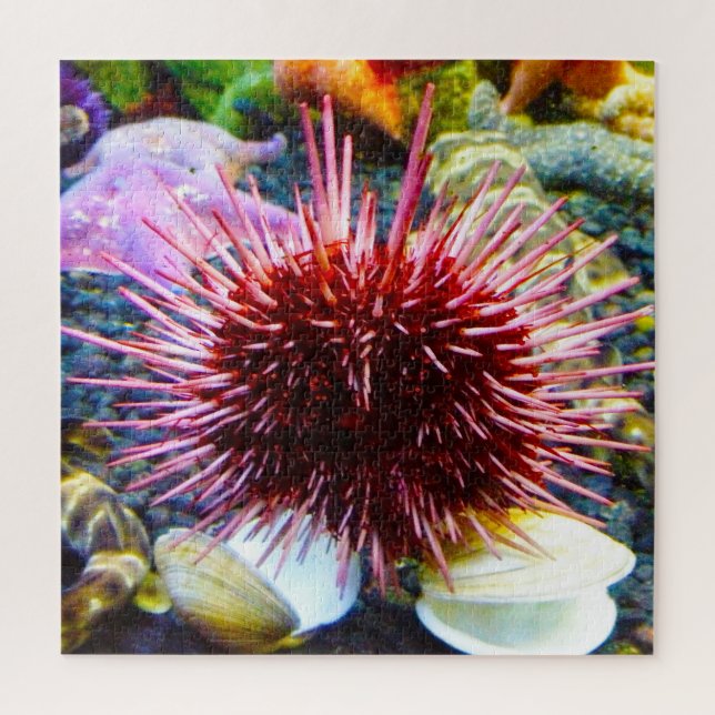 Sea Urchins Jigsaw Puzzle (Vertical)