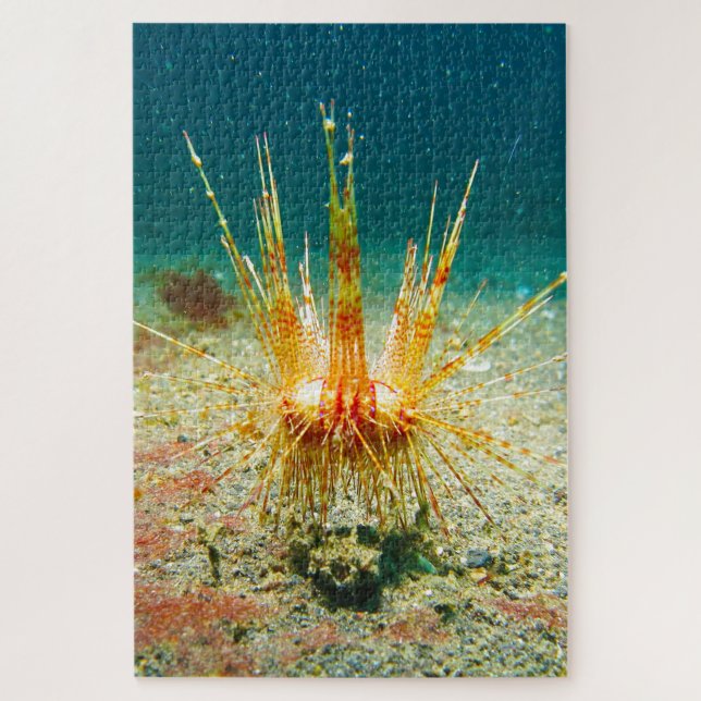 Sea Urchins Jigsaw Puzzle (Vertical)