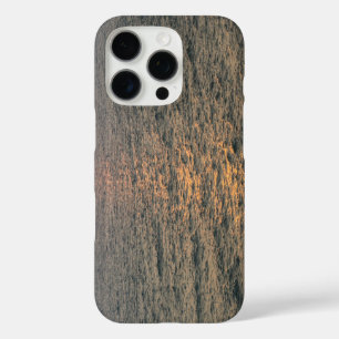 Sea view Green iPhone 16 Pro Case