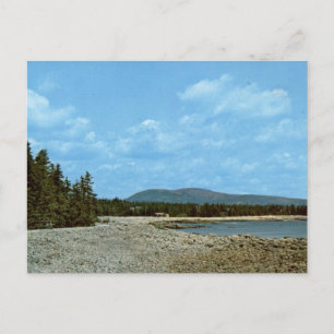 Sea Wall Acadia National Park Vintage Coast Postcard