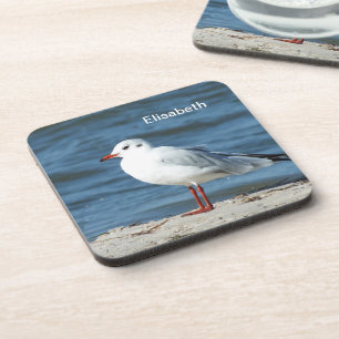 sea, water, seagull, bird, travel, blue, sky, beve coaster