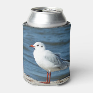 sea, water, seagull, bird, travel, blue, sky, can cooler
