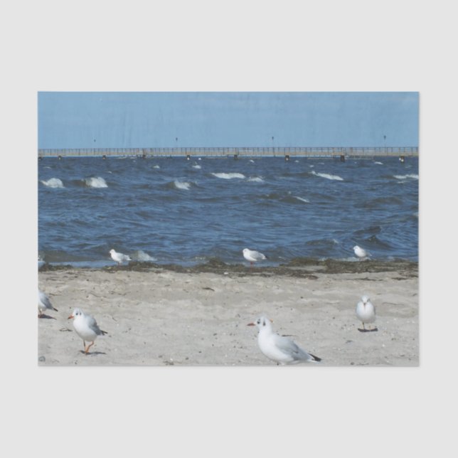 sea, water, seagull, bird, travel, blue, sky, tissue paper (Front)