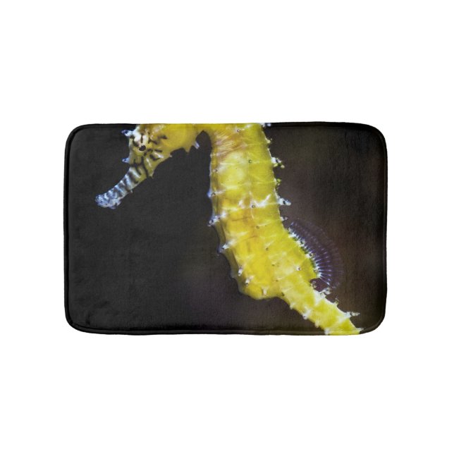 Sea Waves Bath Mat (Front)