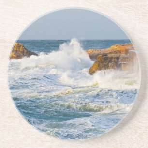 Sea waves coaster
