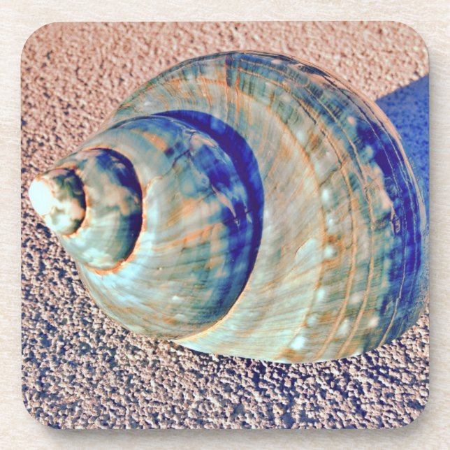 Sea Welk Seashell Coaster (Front)