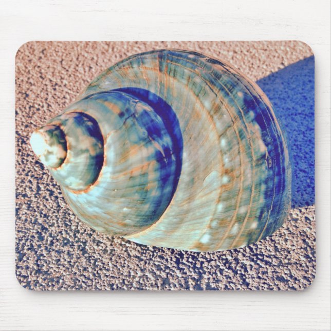 Sea Welk Seashell Mouse Pad (Front)