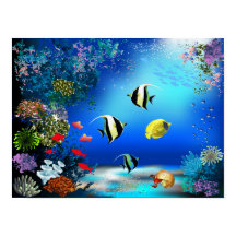 Sea world Poster