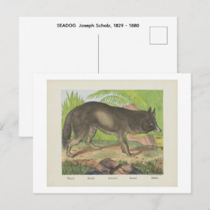 SEADOG Joseph Scholz, 1829 - 1880 Postcard