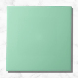 Seafoam Green Solid Colour Ceramic Tile