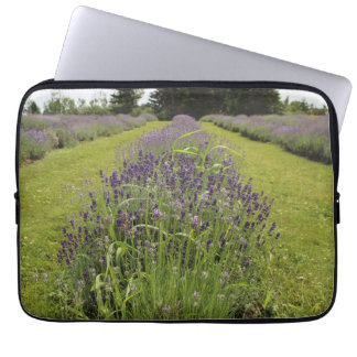 Seafoam Lavender Farm Laptop Sleeve