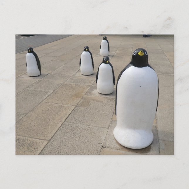Seafront Penguins Postcard (Front)
