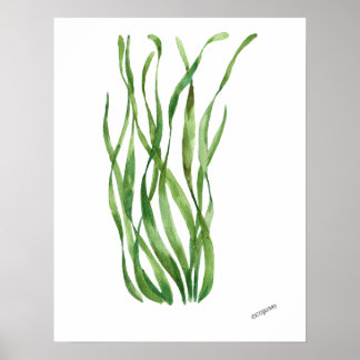 Seagrass underwater watercolor sea life poster