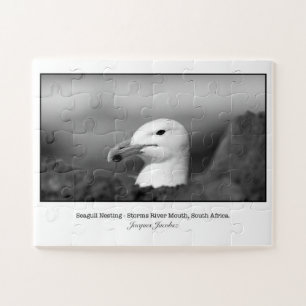 Seagul nesting jigsaw puzzle