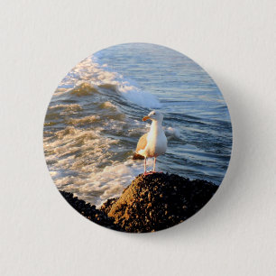 Seagull 6 Cm Round Badge