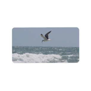 Seagull Address Label