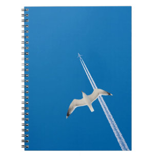 Seagull and aeroplane notebook
