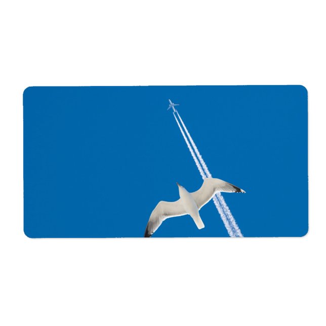 Seagull and airplane (Front)