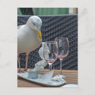 Seagull and empty glasses view postcard