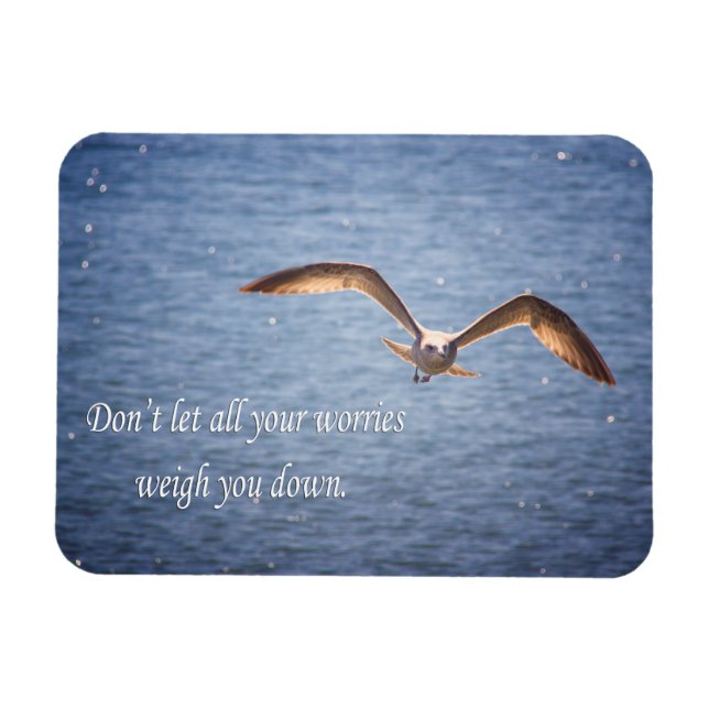 Seagull and Inspirational Words Magnet (Horizontal)