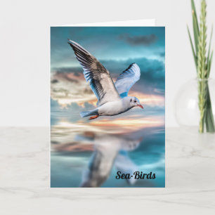 Seagull and Sea-Birds Poem Card