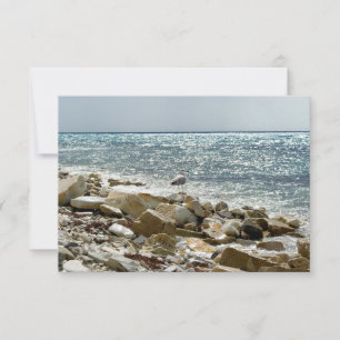 Seagull and sea RSVP card