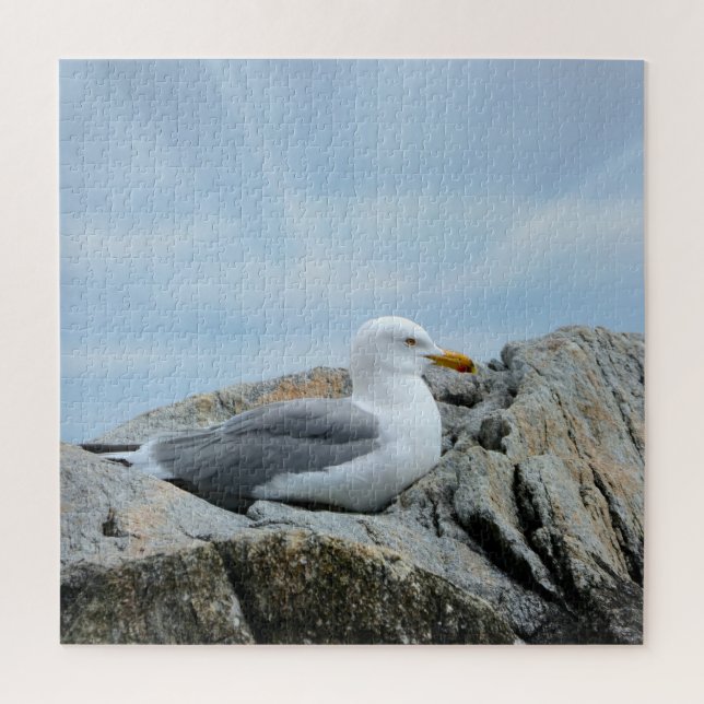 Seagull At The Seashore Jigsaw Puzzle (Vertical)