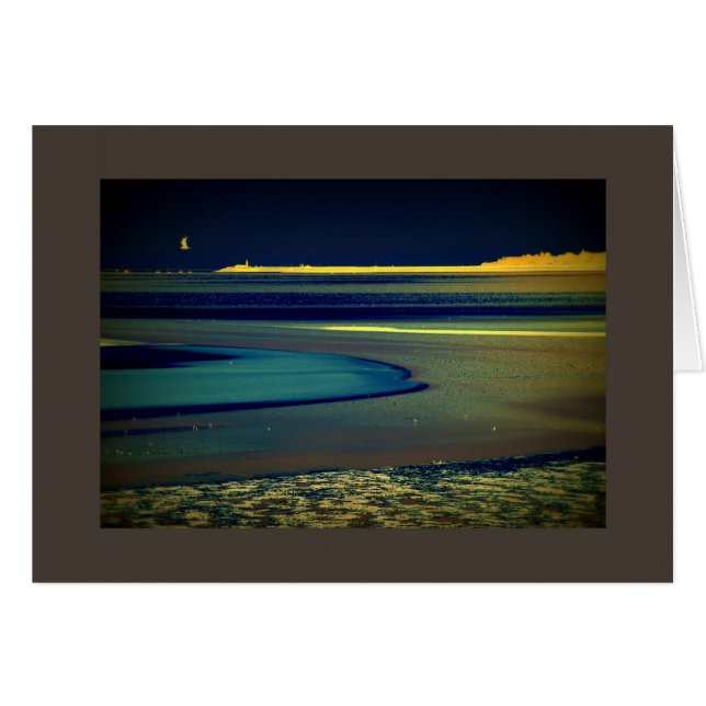 Seagull at the Seaside (Front Horizontal)