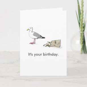 Seagull Bday Card   It's your birthday. Go for it.