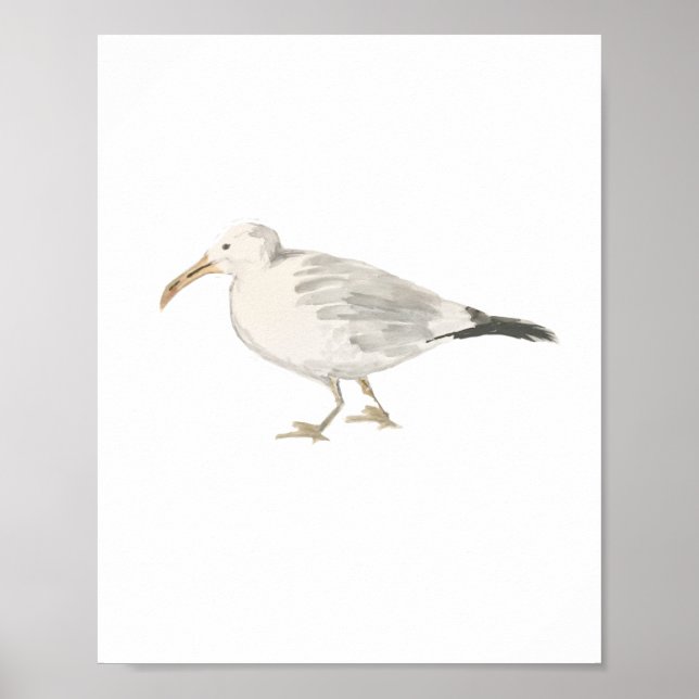 Seagull Beach Bird Painting Poster (Front)