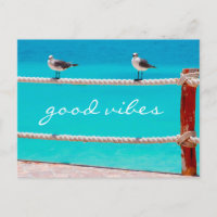 Seagull beach birds photo good vibes script quote