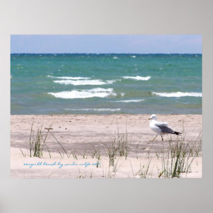 Seagull Beach Watercolor Print