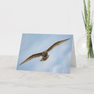 Seagull - Bird in flight Thank You Card