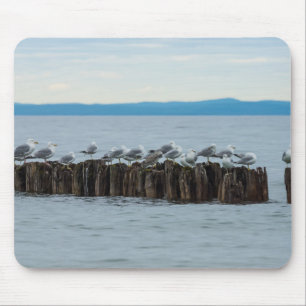 Seagull Breaktime Mouse Pad